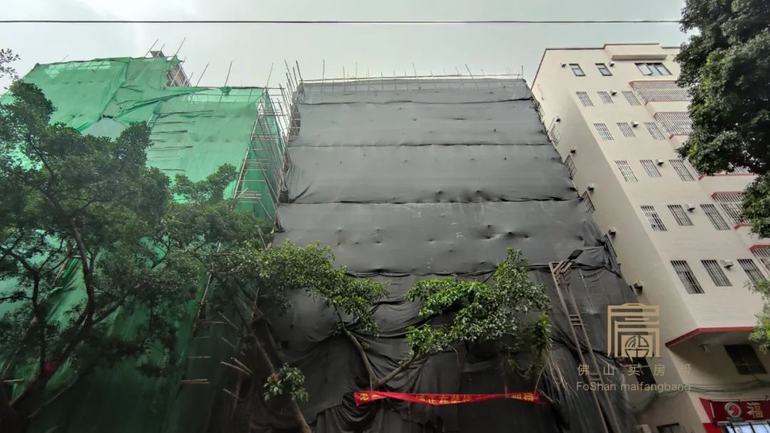 张槎莲塘村宅基地,佛山市禅城区张槎莲塘村房屋拍卖