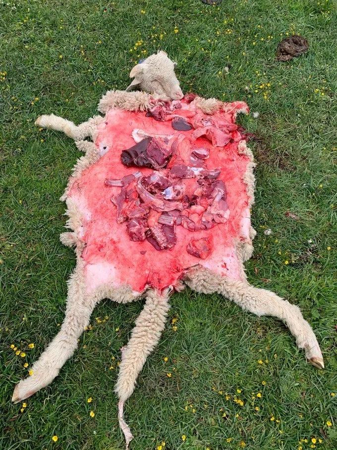 6月徒步乌孙古道骑马穿越,几月去乌孙古道徒步合适