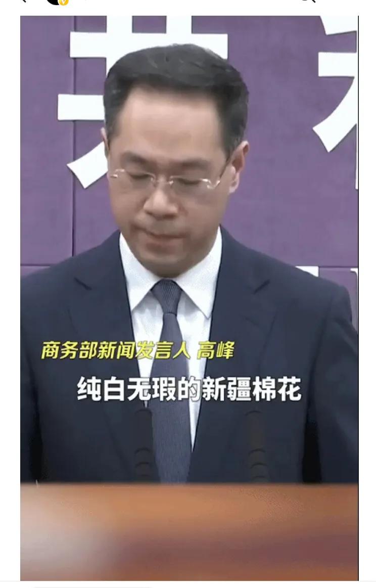 自创服装品牌实体店,自创服装品牌有市场吗