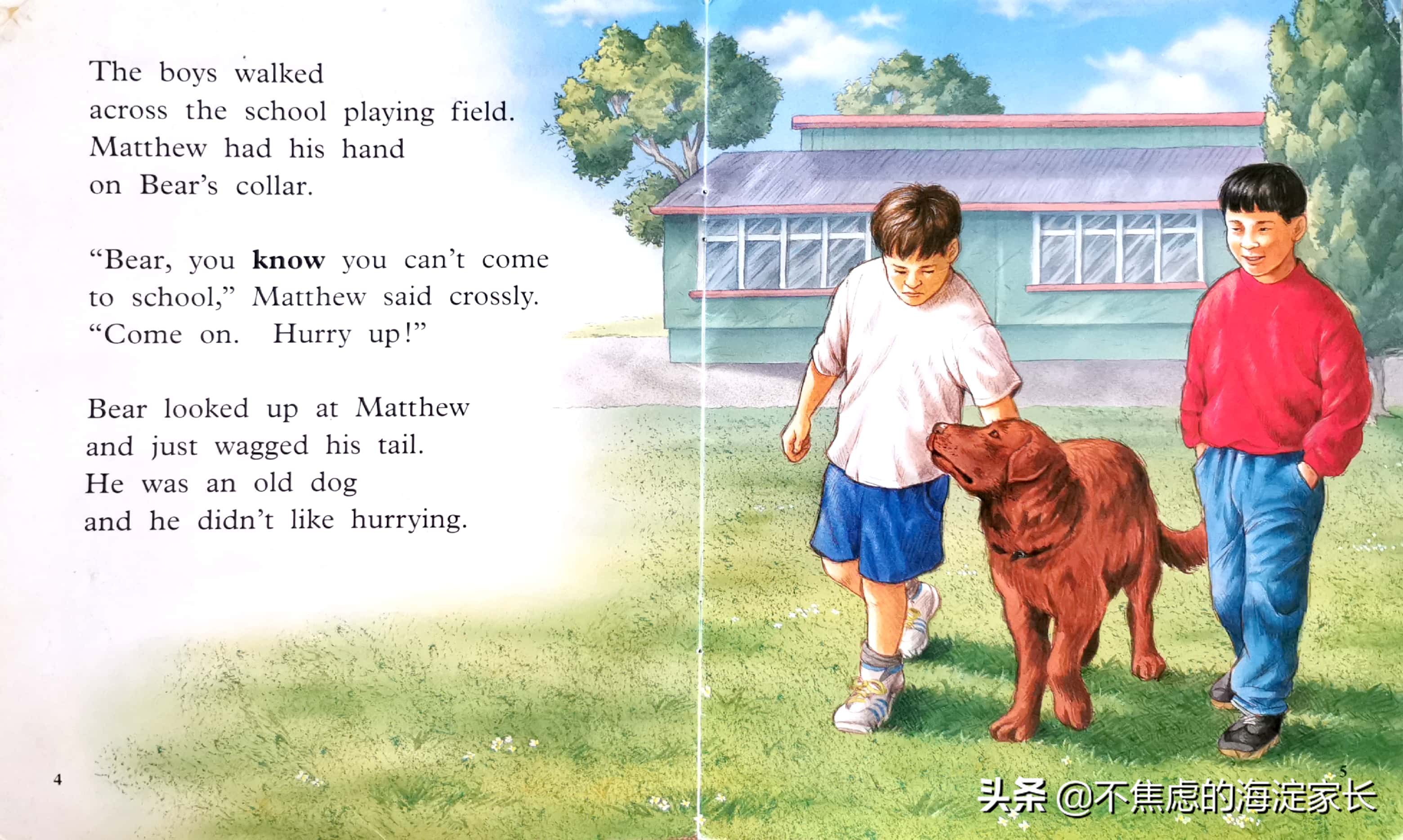 新西兰小学课后读物,新西兰小学读书