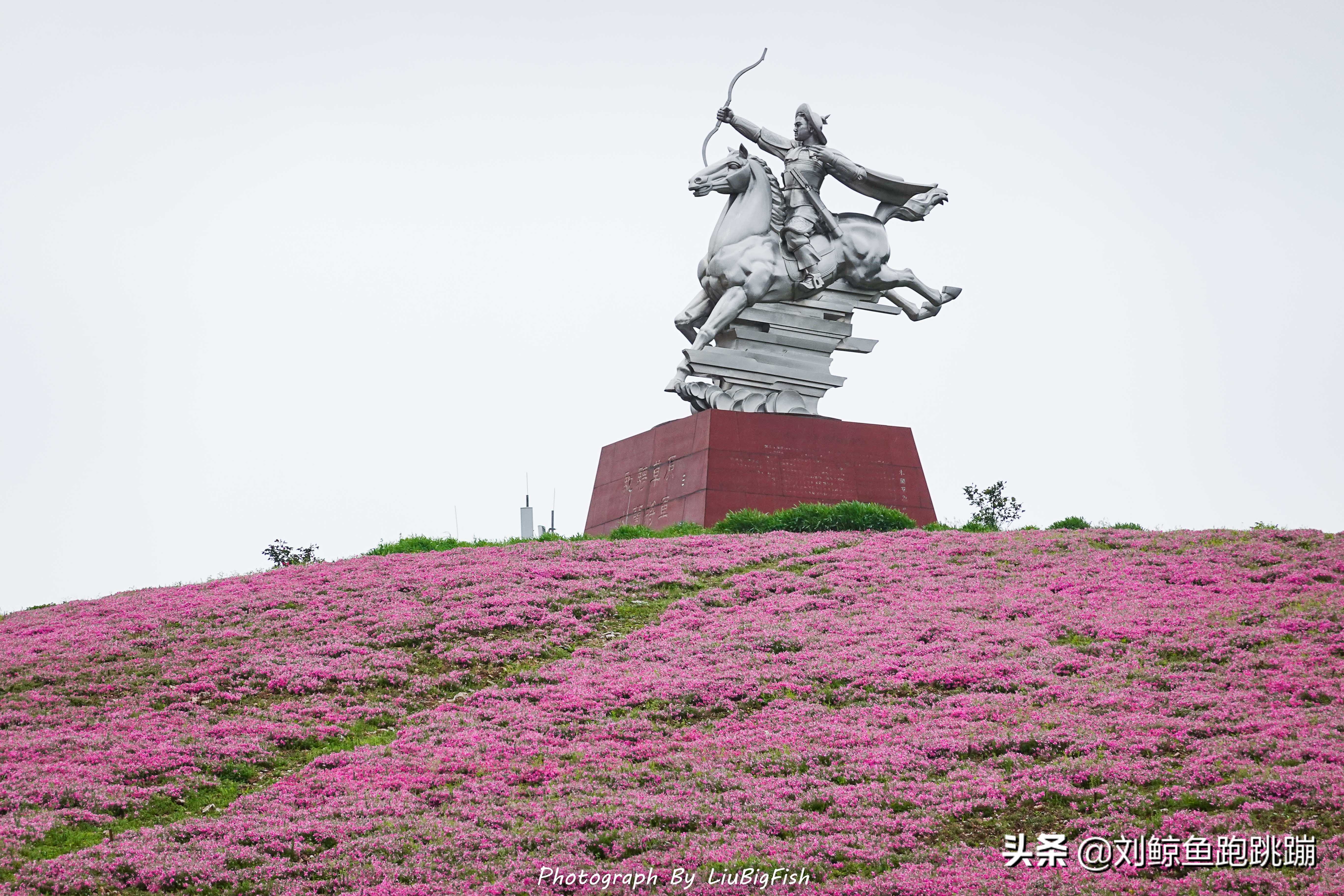 武汉木兰草原狂欢夜视频,木兰草原马战演出直播