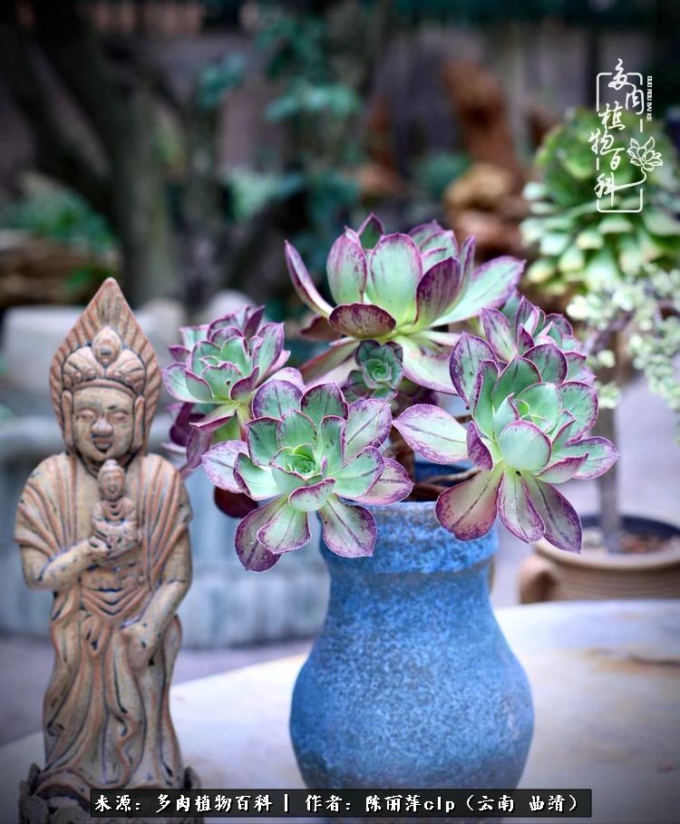 佛系看风景的地方,佛系风景空境视频