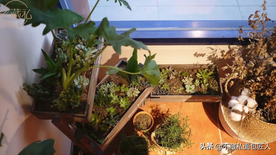 端午假期去哪里,端午假期去哪儿