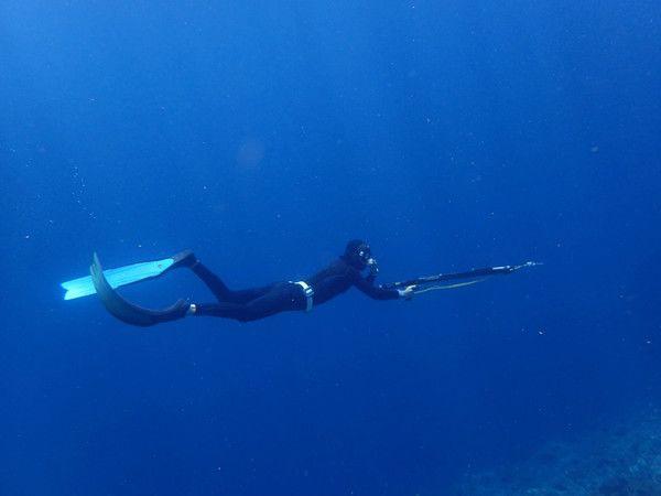 船宿去哪里体验感最好,想去邮轮旅游需要提前确定什么