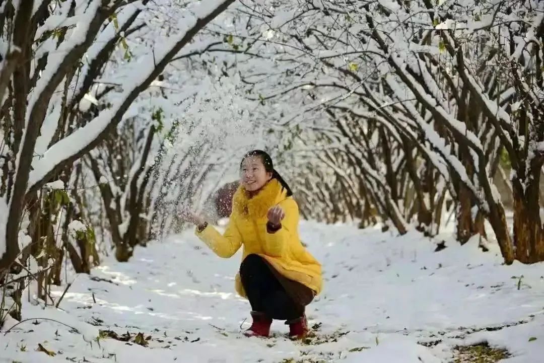 徐州生物工程职业学院2024年单招,徐州生物工程职业技术学院升本科