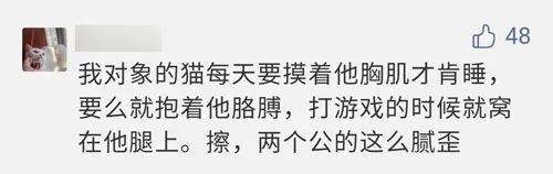 自从有了猫,自从有了猫以后好像变了一个人