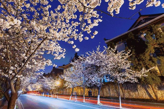 台湾学生拍电影,台湾学生南京