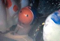 *萨特帕**“中保研”拿G是充值？