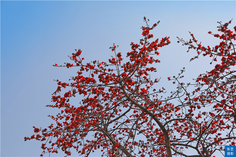 广州东山最靓的民国小洋楼,广州最经典的东山洋房在哪里