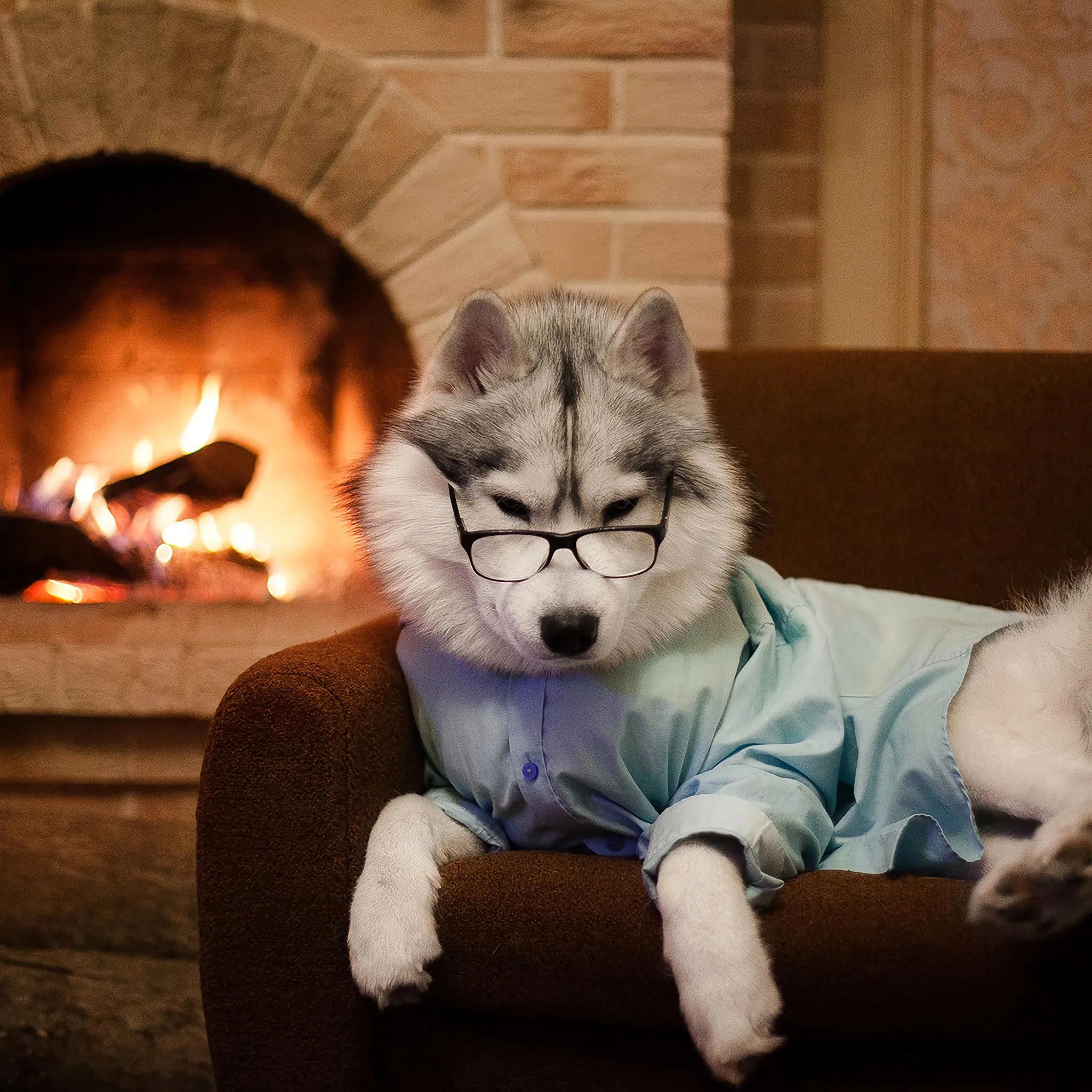 章盟主最近都买了什么股,我最近买了什么用英语怎么说