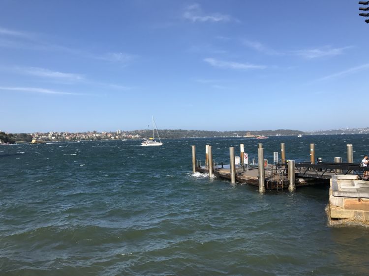 澳洲回国奶粉可以不托运吗,澳大利亚禁止携带物品清单