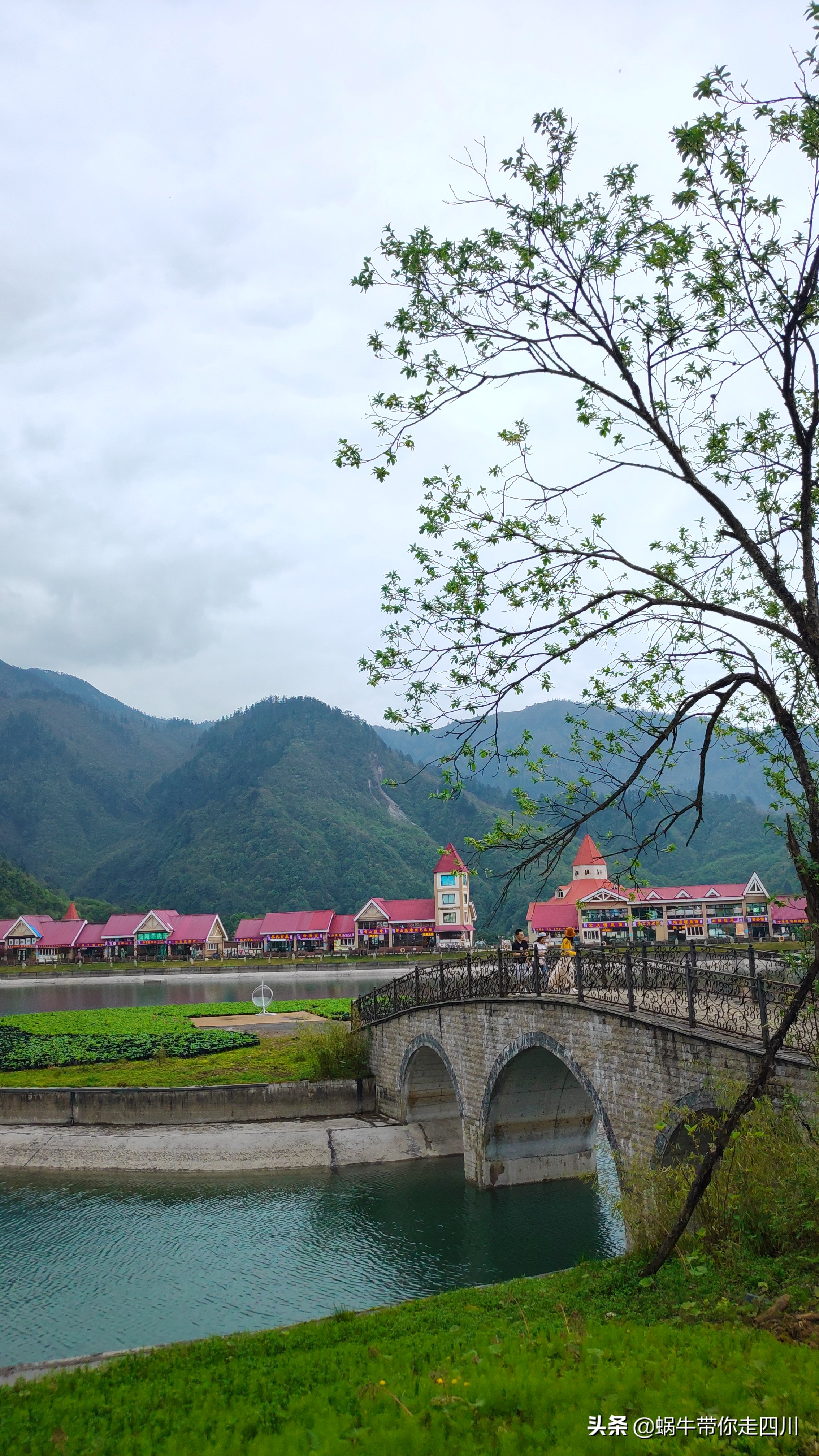 成都去西岭雪山两天一夜旅游团,成都出发雪山旅游