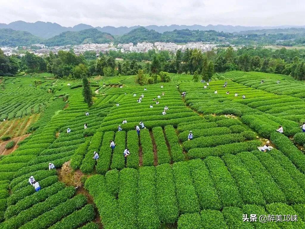 为什么有的人投资眼光很准,为什么越来越多的资本想投资酱酒