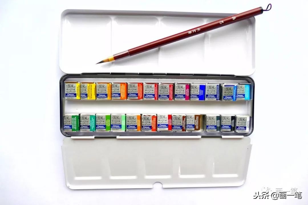 水彩画菜地,水彩画菜花风景