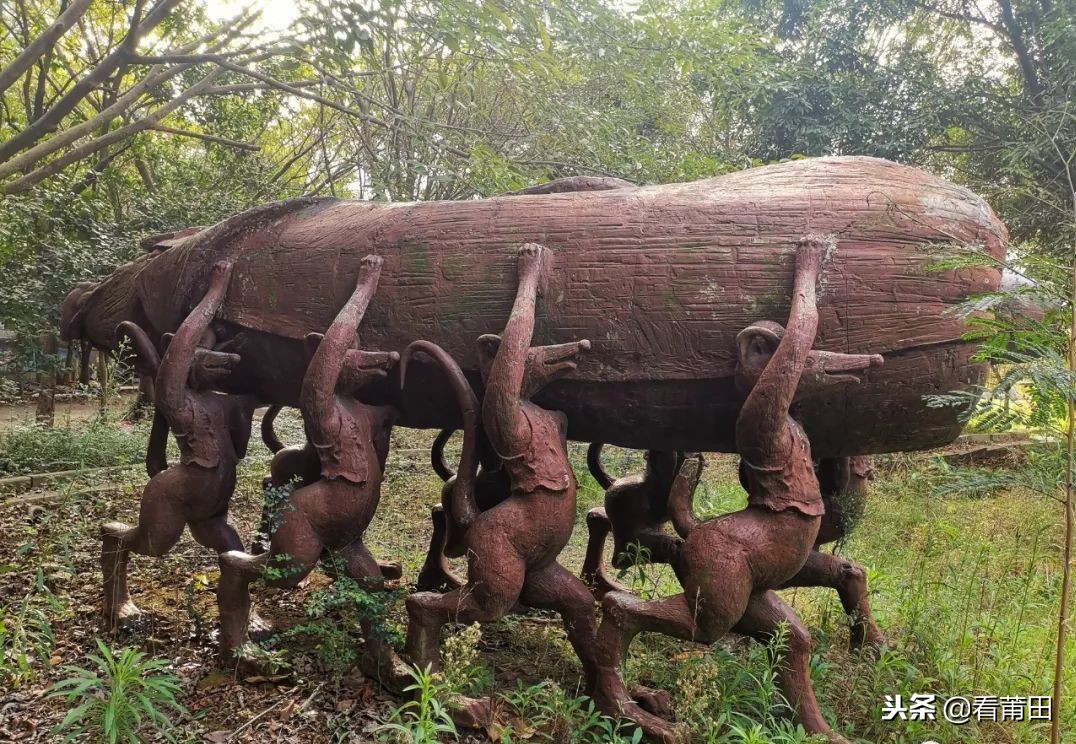 莆田快乐农庄以前的样子,莆田快乐农庄建什么