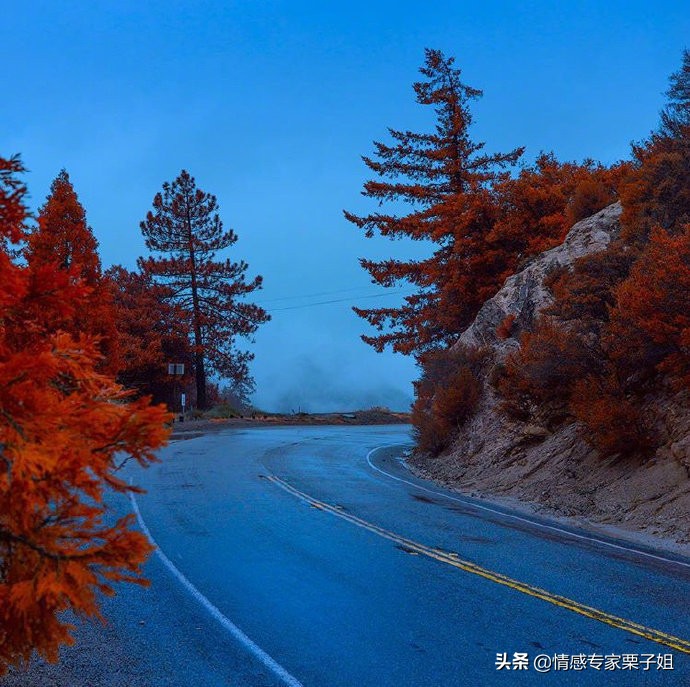 情感咨询｜栗子姐每日情感问答（0720）