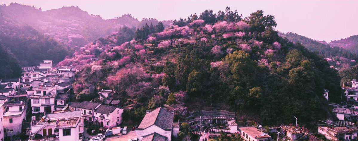 文房四宝产地歙县~盆景徽剧之乡~高山土楼梯田