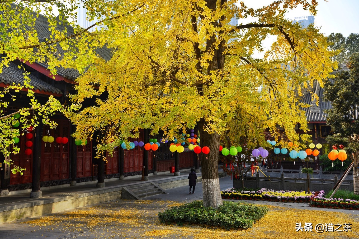 成都必吃的10天攻略,成都出发两天一夜美食之旅