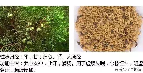 农村身边的中草药主治与功效,中草药全图谱与功效