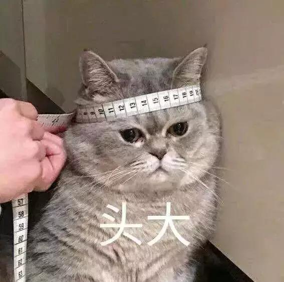 小升初自荐信老师寄语,小升初简历自荐信