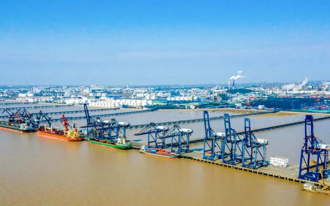 舌尖上的中国嘉兴粽子,嘉兴粽子五芳斋粽子做法