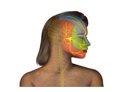 彻底根除三叉神经痛不花一分钱,三叉神经痛的最佳治疗方法