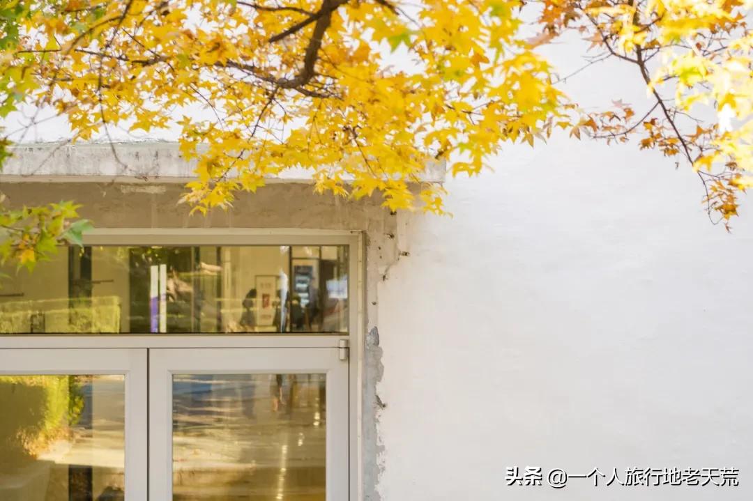 大连最浪漫的十个地方,大连浪漫景色