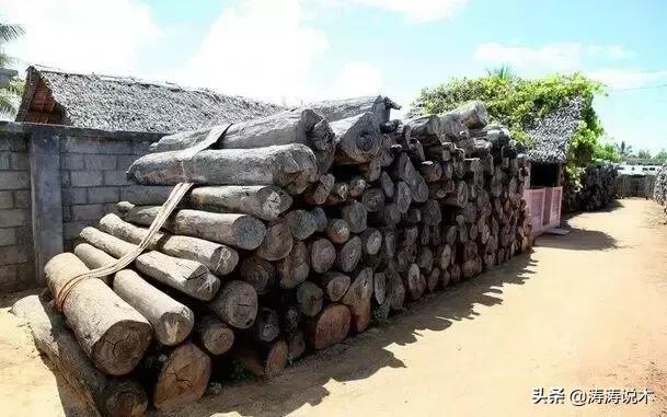 真正的小叶紫檀木材,大叶紫檀红木百科