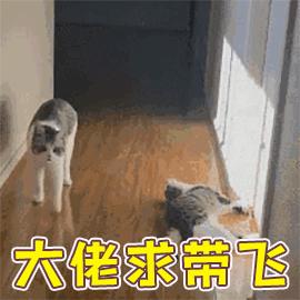 燕窝没用为什么还这么多人买,燕窝到底有没有用啊