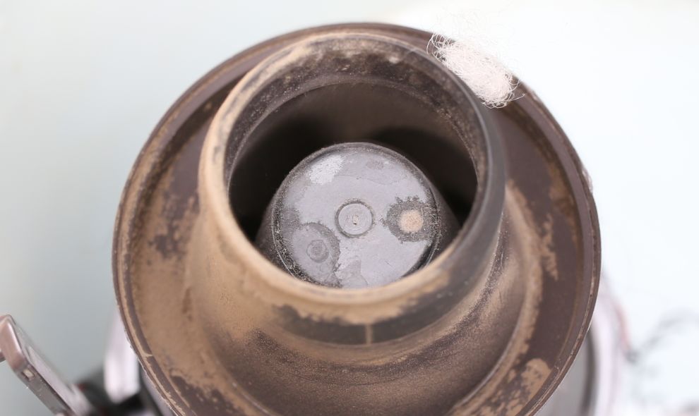 家狗身上痒有脱毛现象怎么办,狗到夏天脱毛特别严重