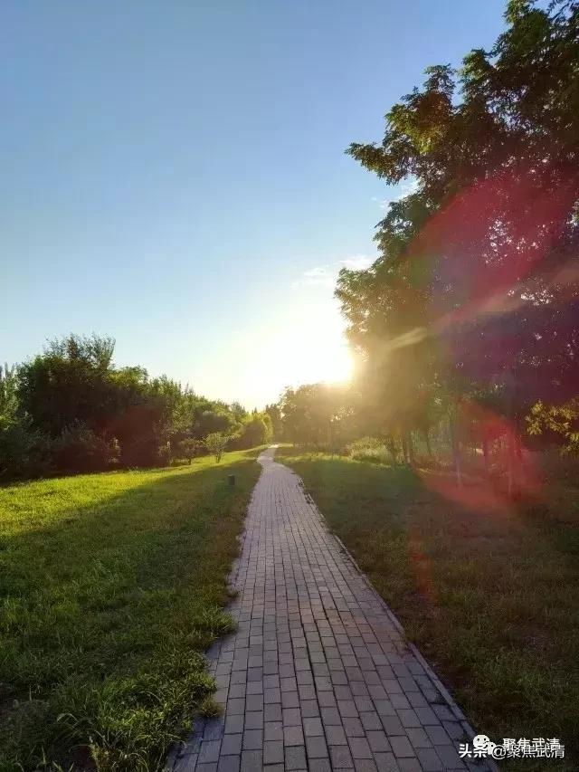 定了!武清这个镇被定为天津市特色文化产业示范镇