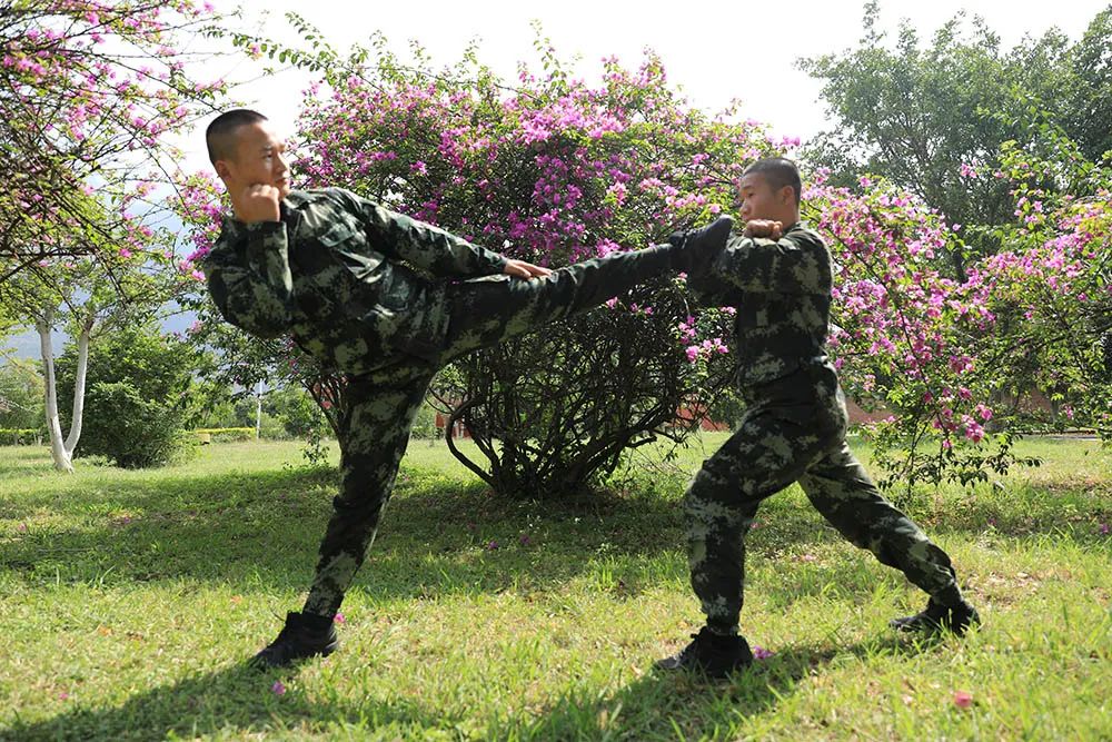 少林兄弟粤语版,少林弟子从军记