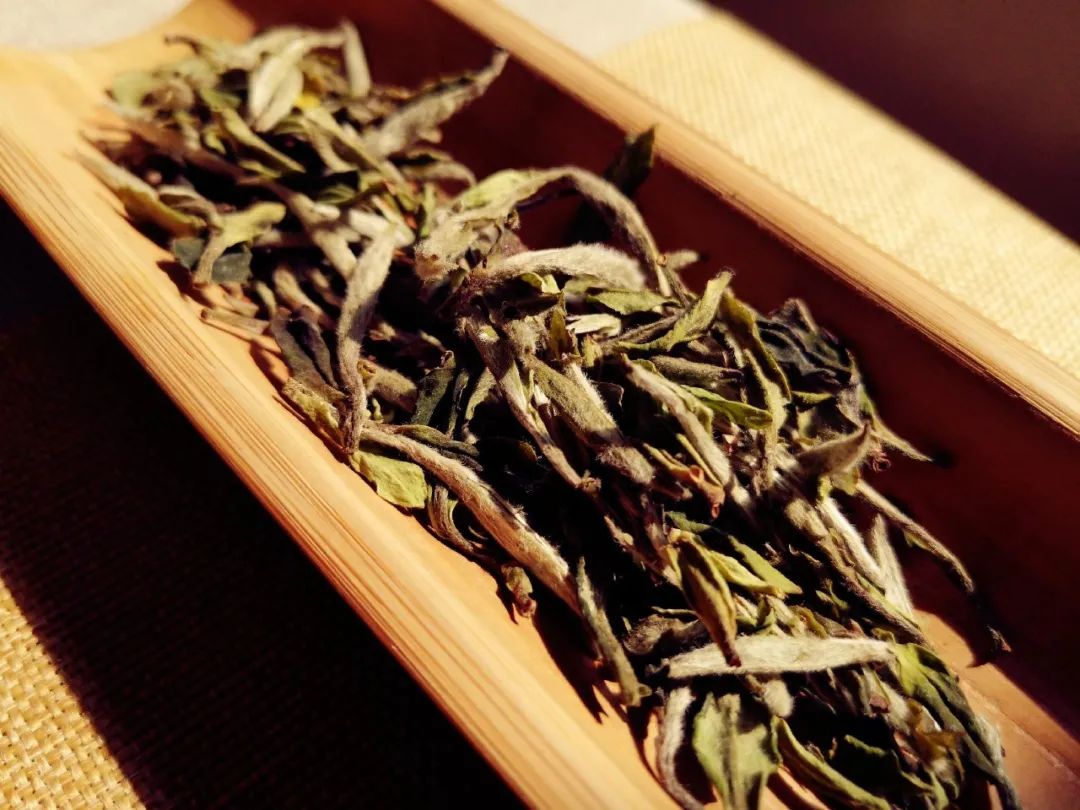 为什么喝完茶感觉口渴,为啥喝完茶以后容易饿