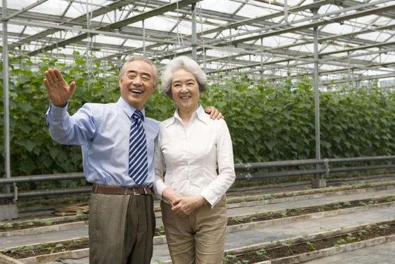 夫妻之间最佳年龄相差几岁,夫妻间最好的年龄差15岁的说法