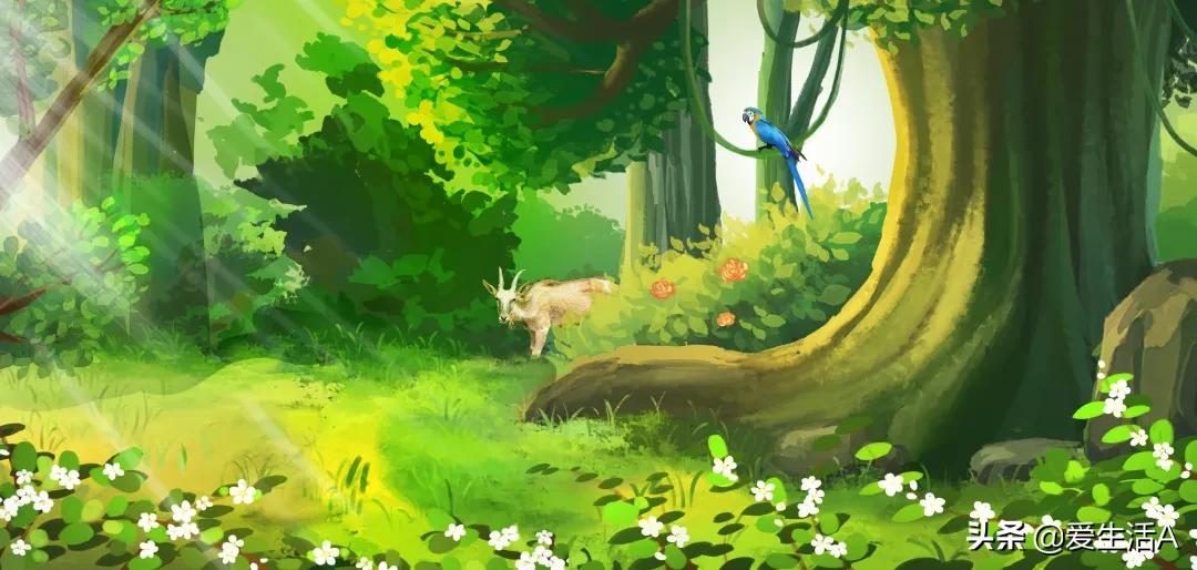 适应环境与保护自然优秀作文,优秀作文关于夏天