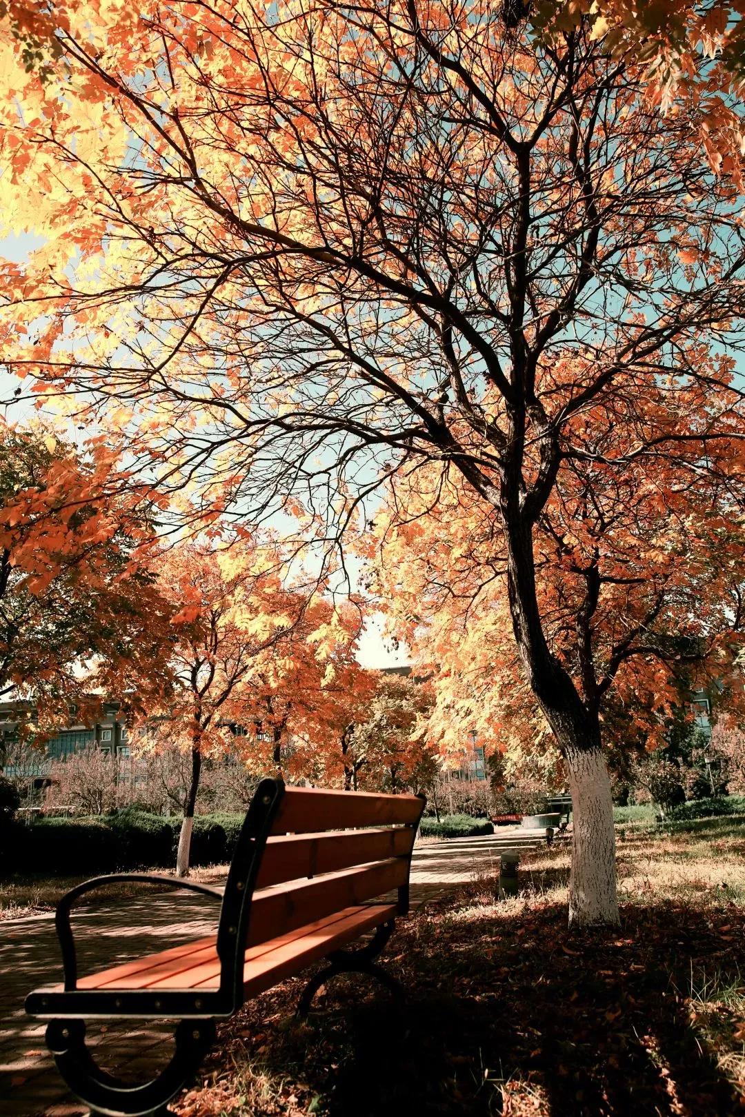 辽宁省普通高等院校（二十五）沈阳工程学院