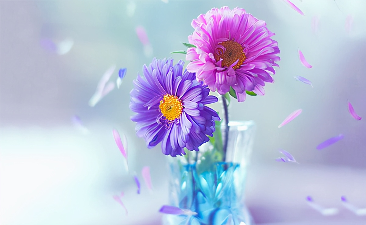 一个人自卑怎么改变,骨子里的自卑如何改变