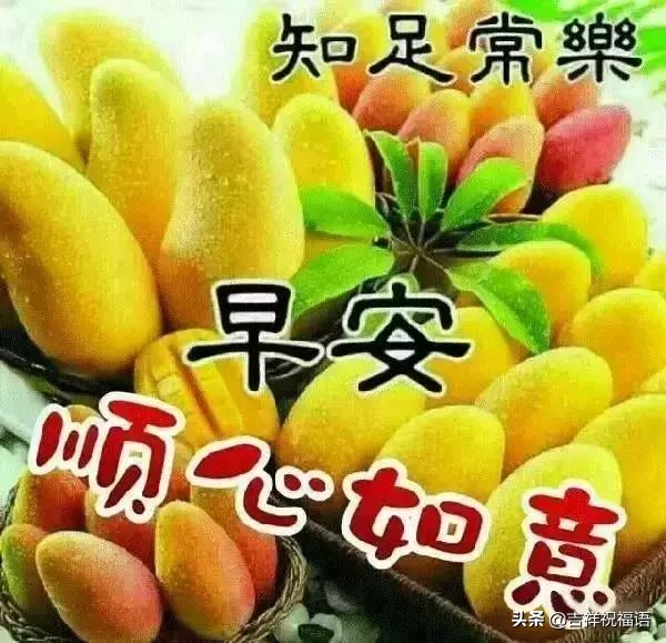 特别暖心的早上好祝福语图片图文,早上好祝福问候语温馨短句图片