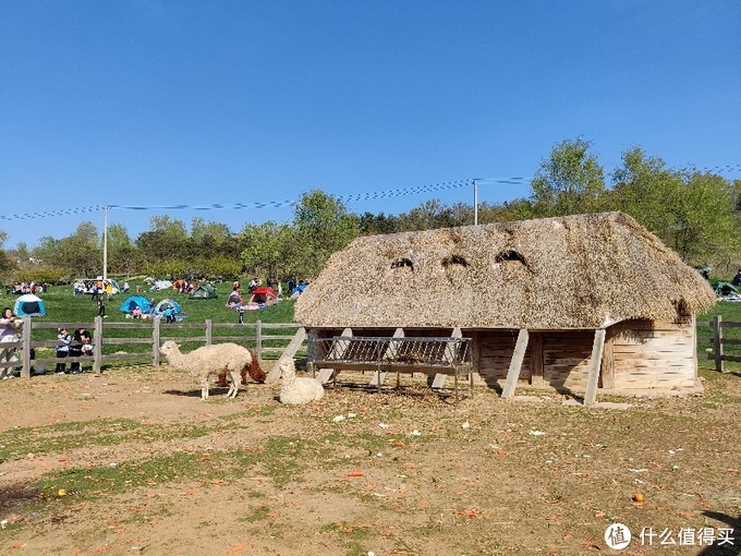 五一大连三寰牧场,大连三寰牧场旅游攻略