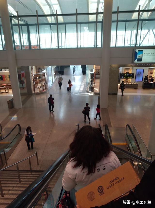 国际出行攻略,新西兰旅游攻略租车