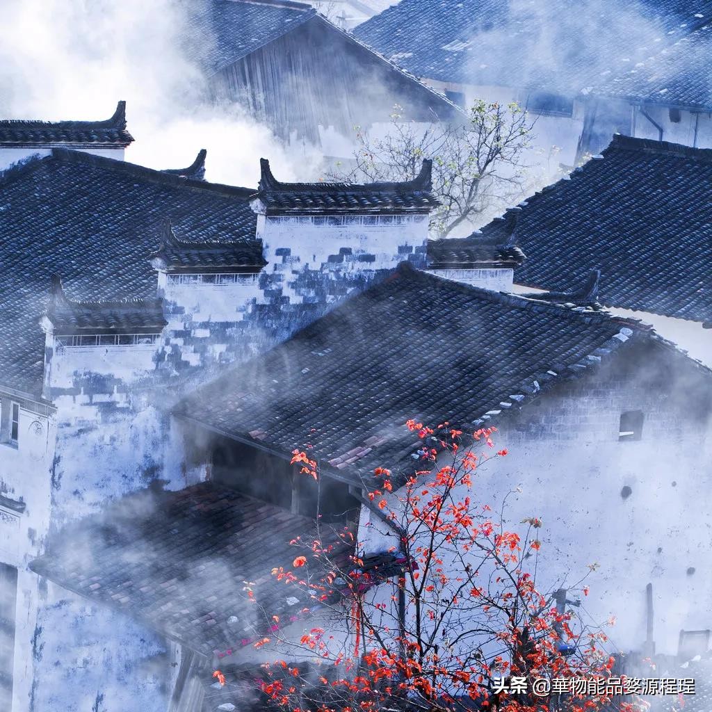 婺源博物馆里有什么文物,婺源的国宝文物