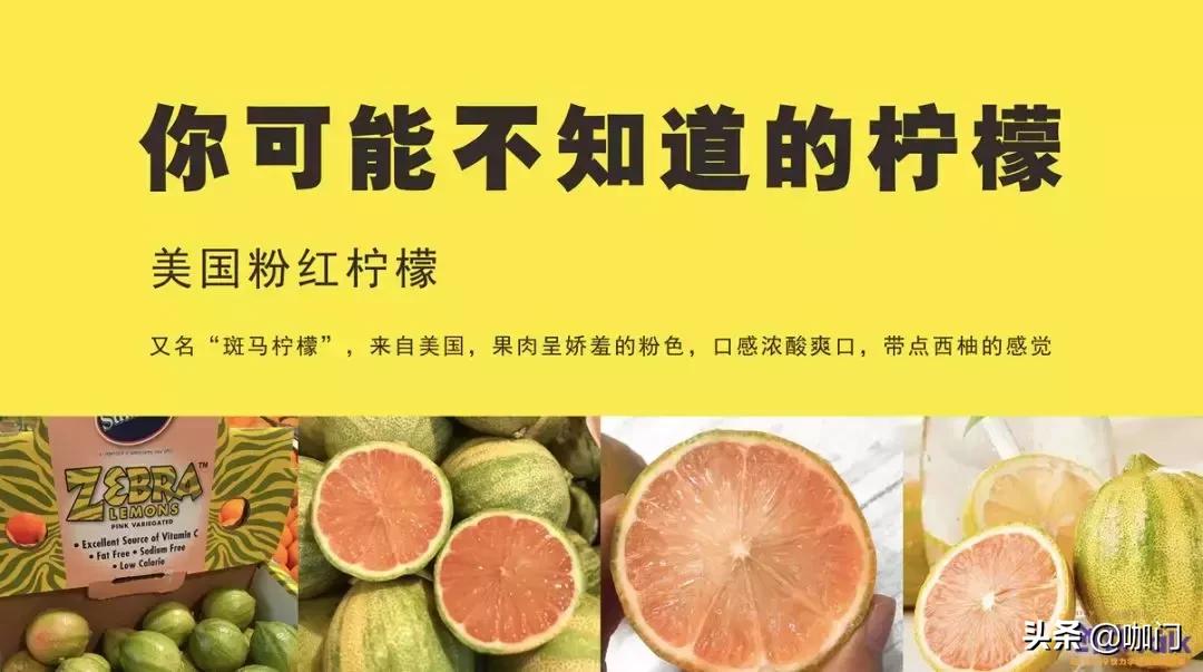 比奶茶好喝的柠檬茶 (疯狂的柠檬茶比奶茶易成瘾)