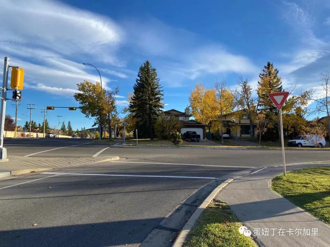 老司机谈开车,老司机聊车大全