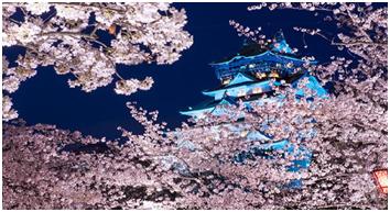 坐游轮去日本自由行攻略,日本自由行视频攻略