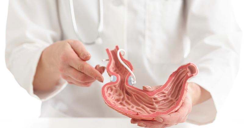 母猪不食打什么药,母猪不吃食不喂奶喂什么中草药