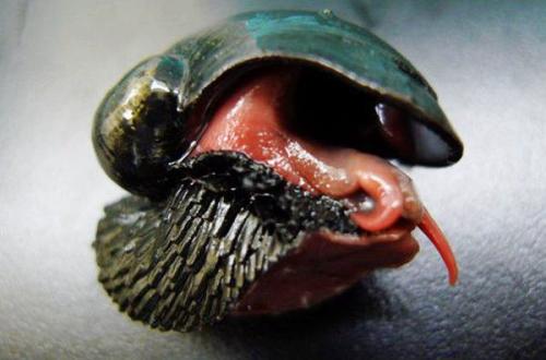 世界上最坚硬的装甲,世界上最坚硬的盔甲是哪一个