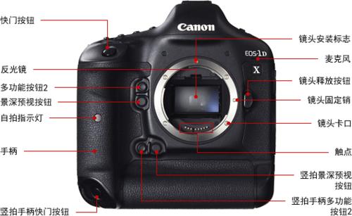 高清专业级拍鸟摄影机,顶级相机拍鸟