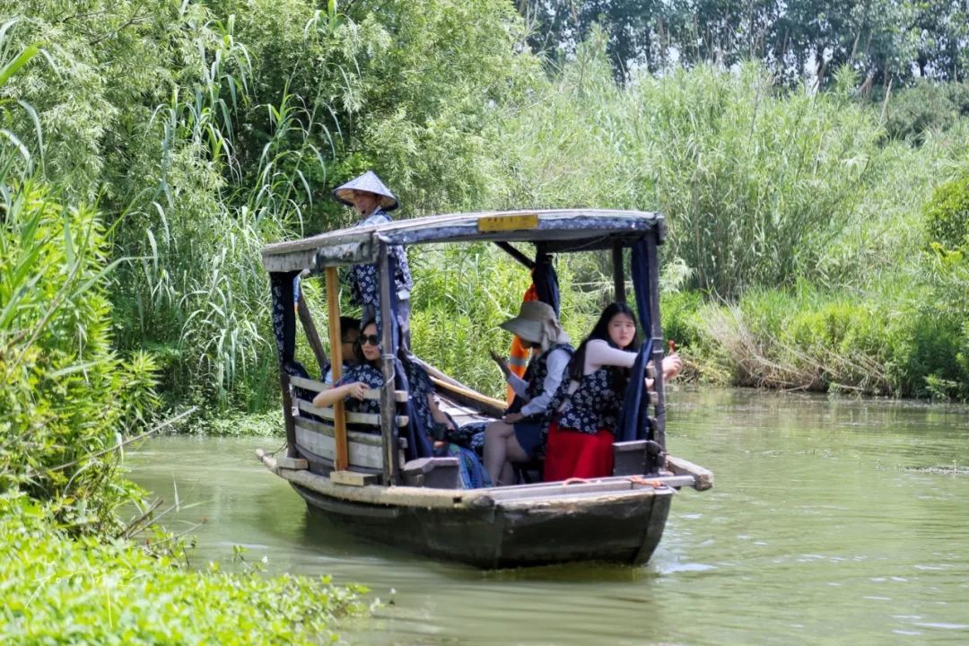 沙家浜旅游民宿有哪些,三月最适合去的最美民宿
