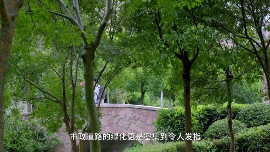 房价8万，逆袭张江？上海外环的唐镇能如愿逆袭吗？