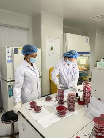 当医学生是什么样的感受,当一名医生的感受